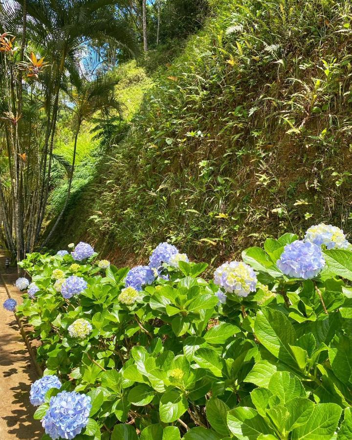 Hotel Fazenda Bonanza エンジェニェイロ・パウロ・デ・フロンチン エクステリア 写真