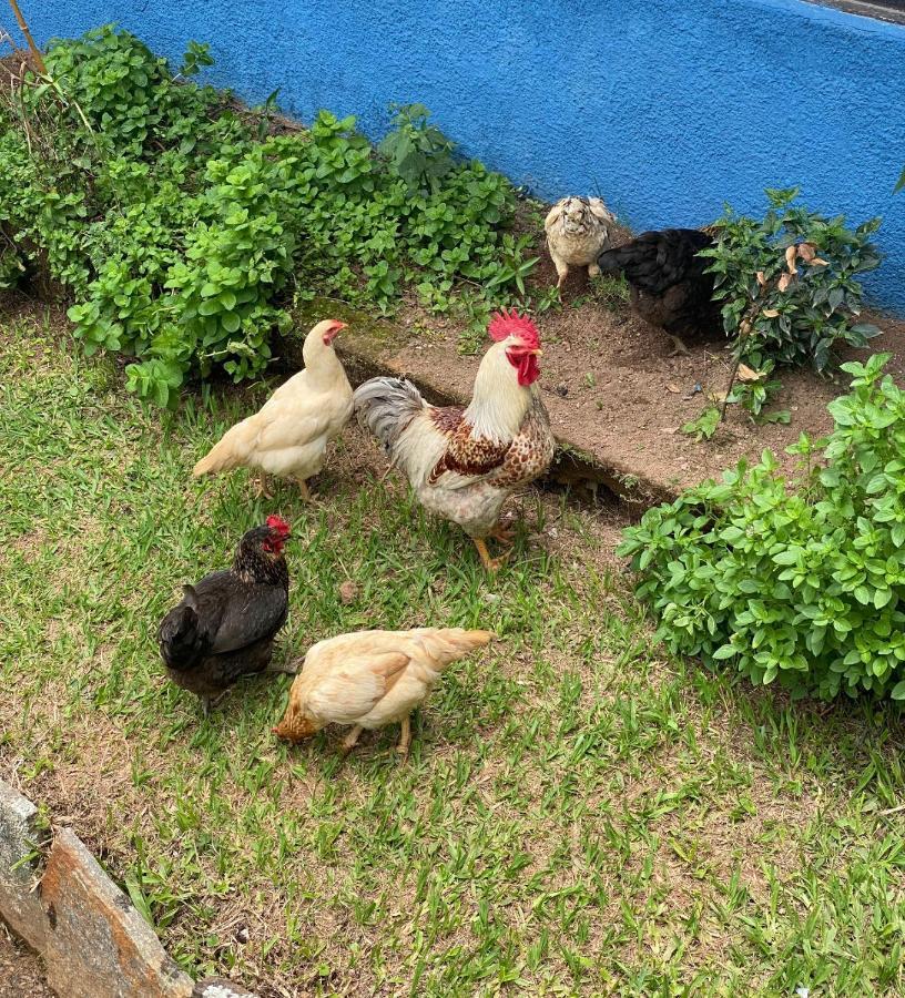 Hotel Fazenda Bonanza エンジェニェイロ・パウロ・デ・フロンチン エクステリア 写真